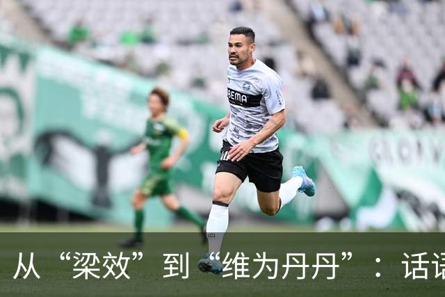 从“梁效”到“维为丹丹”：话语权的演变与社会反思